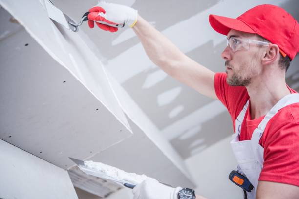 Best Black Mold Removal  in Vinton, LA